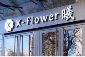 X·Flower曦