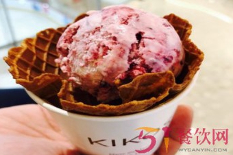 新西兰KIKOS淇蔻冰淇淋介绍，淇蔻冰淇淋加盟疯狂上线！