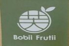 芙缇Bobii Frutii