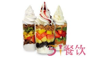 salud欧洲冻酸奶加盟店多少家？