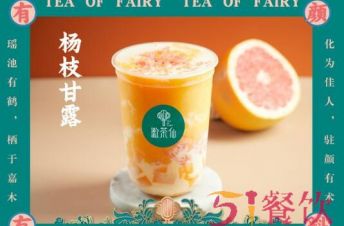杭州漱茶仙鲜果茶加盟费多少钱？